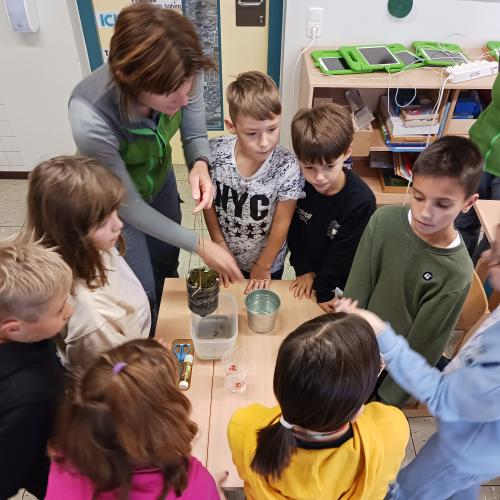 Wasserschule