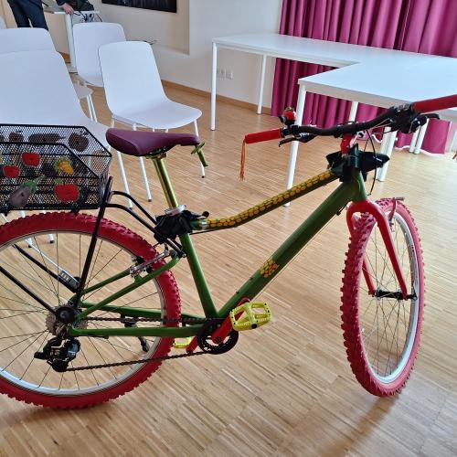 crazy bike