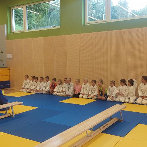 Judo