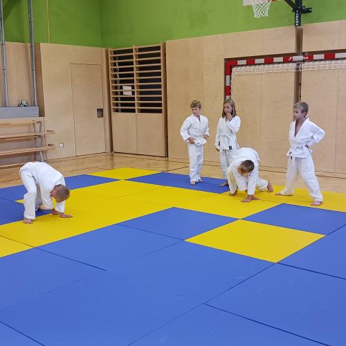 Judo