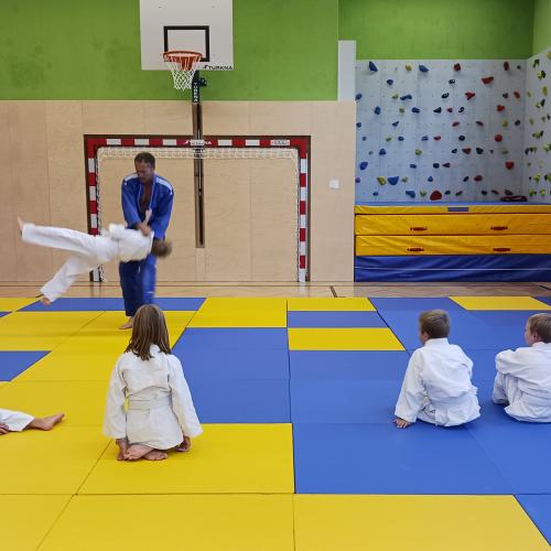Judo