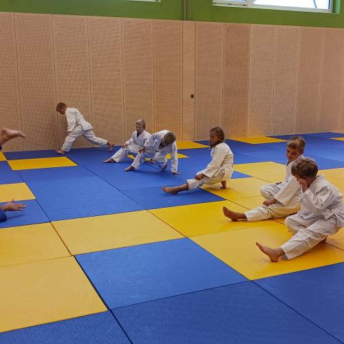 Judo