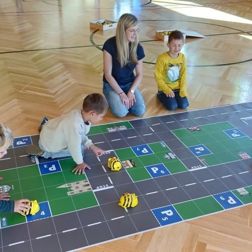 Bee Bots