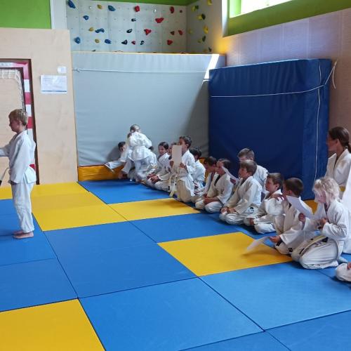Judo