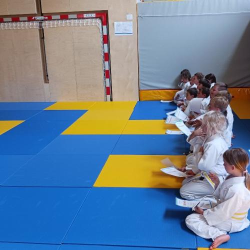 Judo