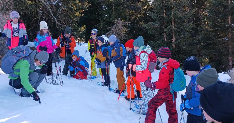 Schneeschuhwanderung NP