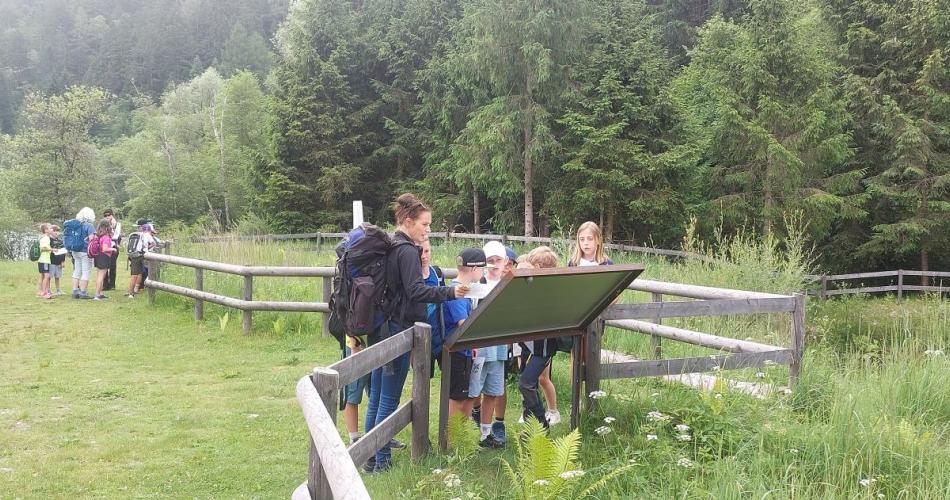 Iselwanderung